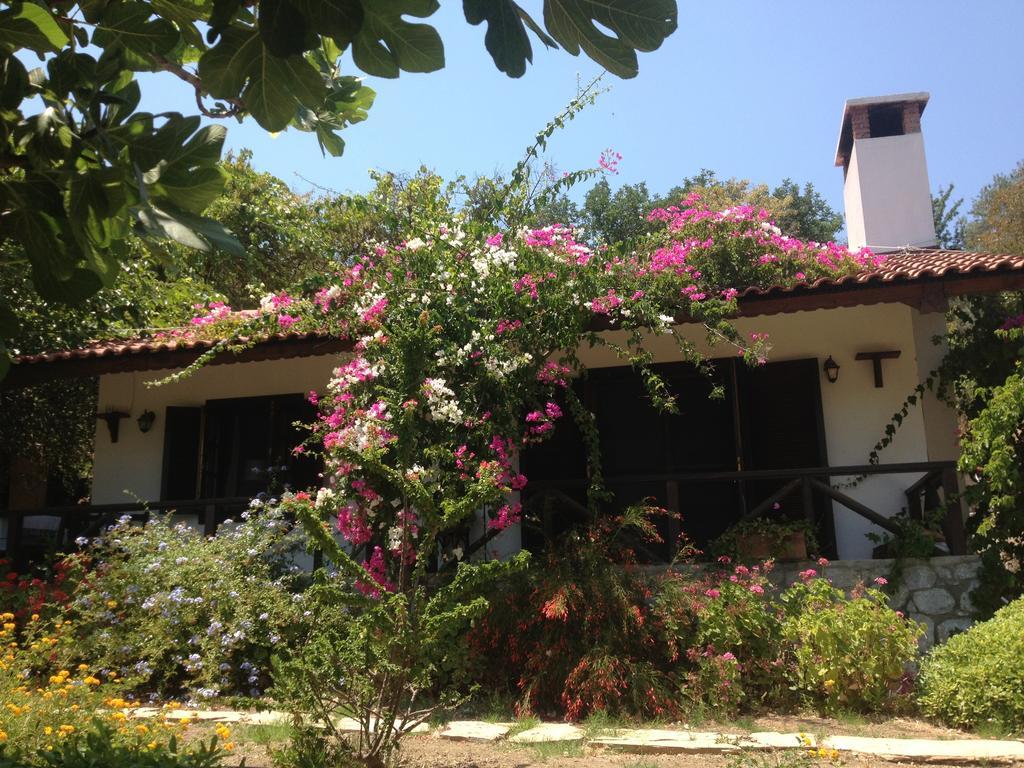 Selimiye Houses Exterior foto